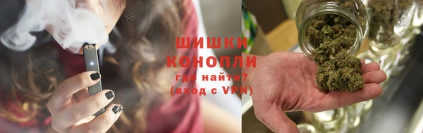 ПСИЛОЦИБИНОВЫЕ ГРИБЫ Абаза
