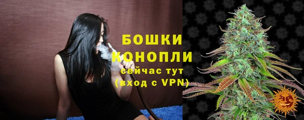 молекула духа Сафоново