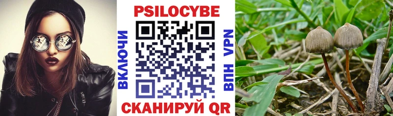 Псилоцибиновые грибы Magic Shrooms Кашира