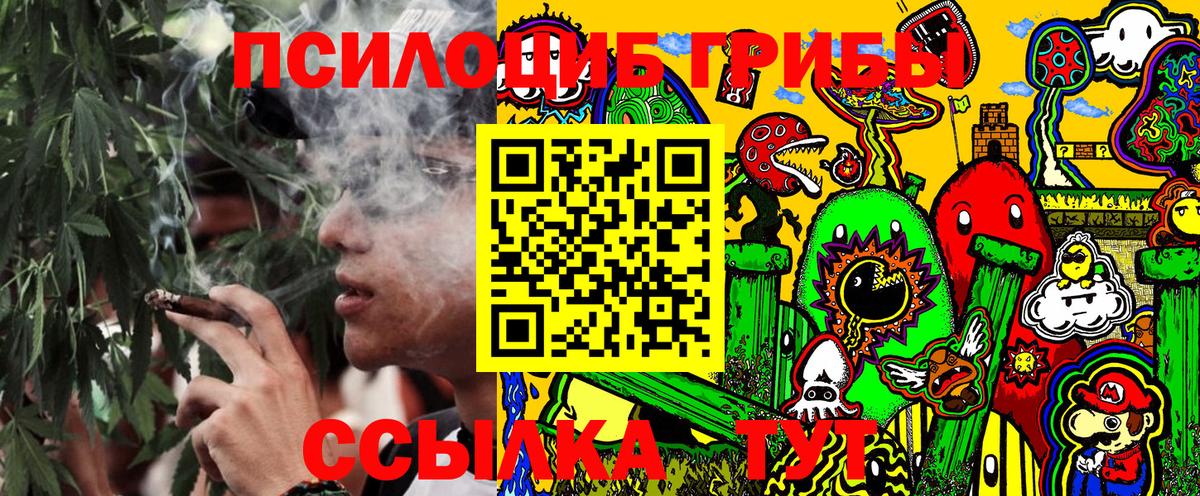 Псилоцибиновые грибы мицелий  Вход с VPN  Кашира 