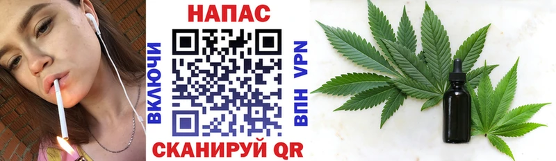 Канабис план  Кашира 